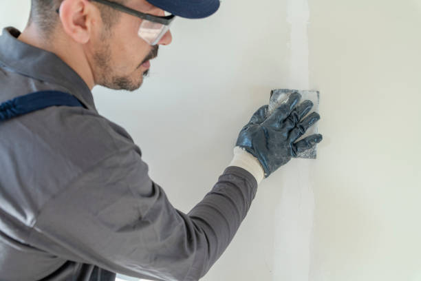 Asbestos and Lead Testing During Mold Inspection in Catasauqua, PA