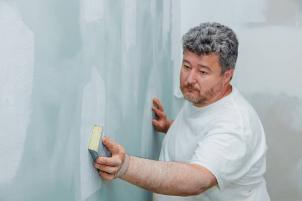 Best Environmental Consulting for Mold Prevention  in Catasauqua, PA