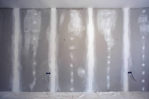Professional Mold Removal in Catasauqua, PA